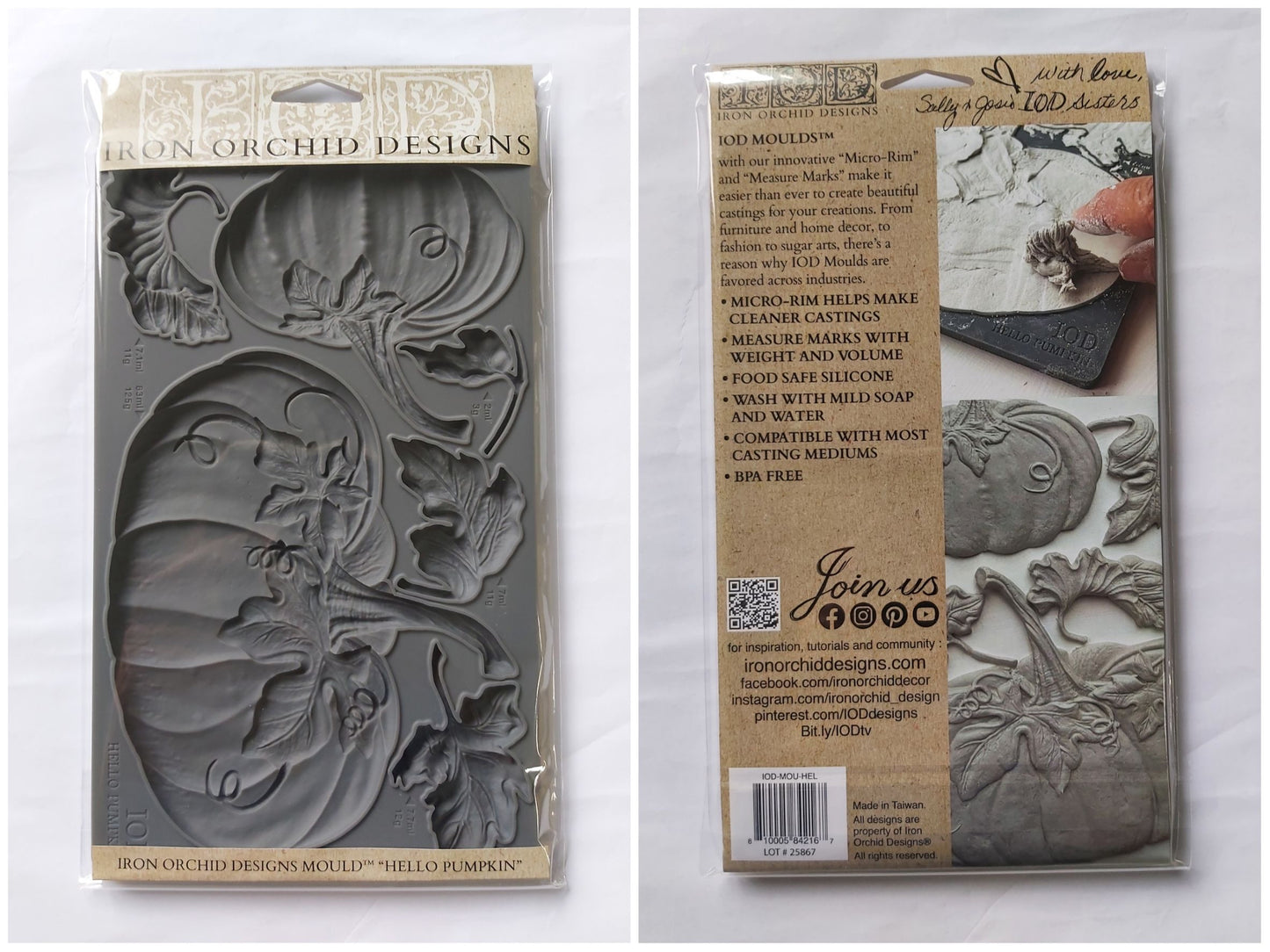 IOD Hello Pumpkin 6x10 IOD Moulds™