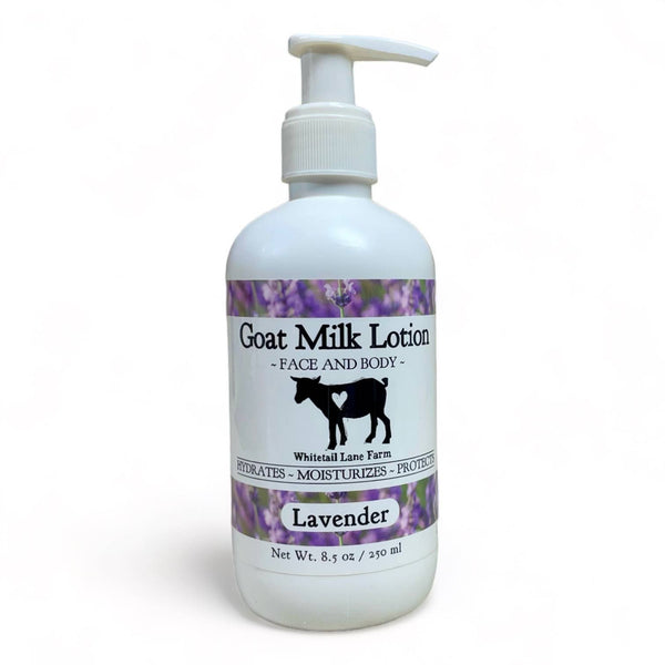 Lavender - Goat Milk Lotion Lavender: 8.5oz