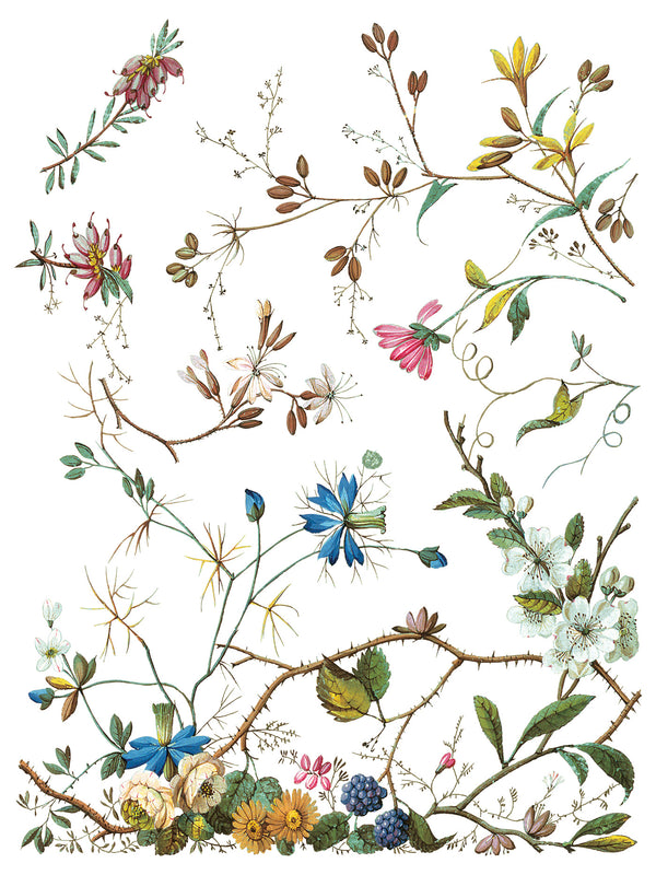 Lost Garden IOD Transfer 12x16 Pad™