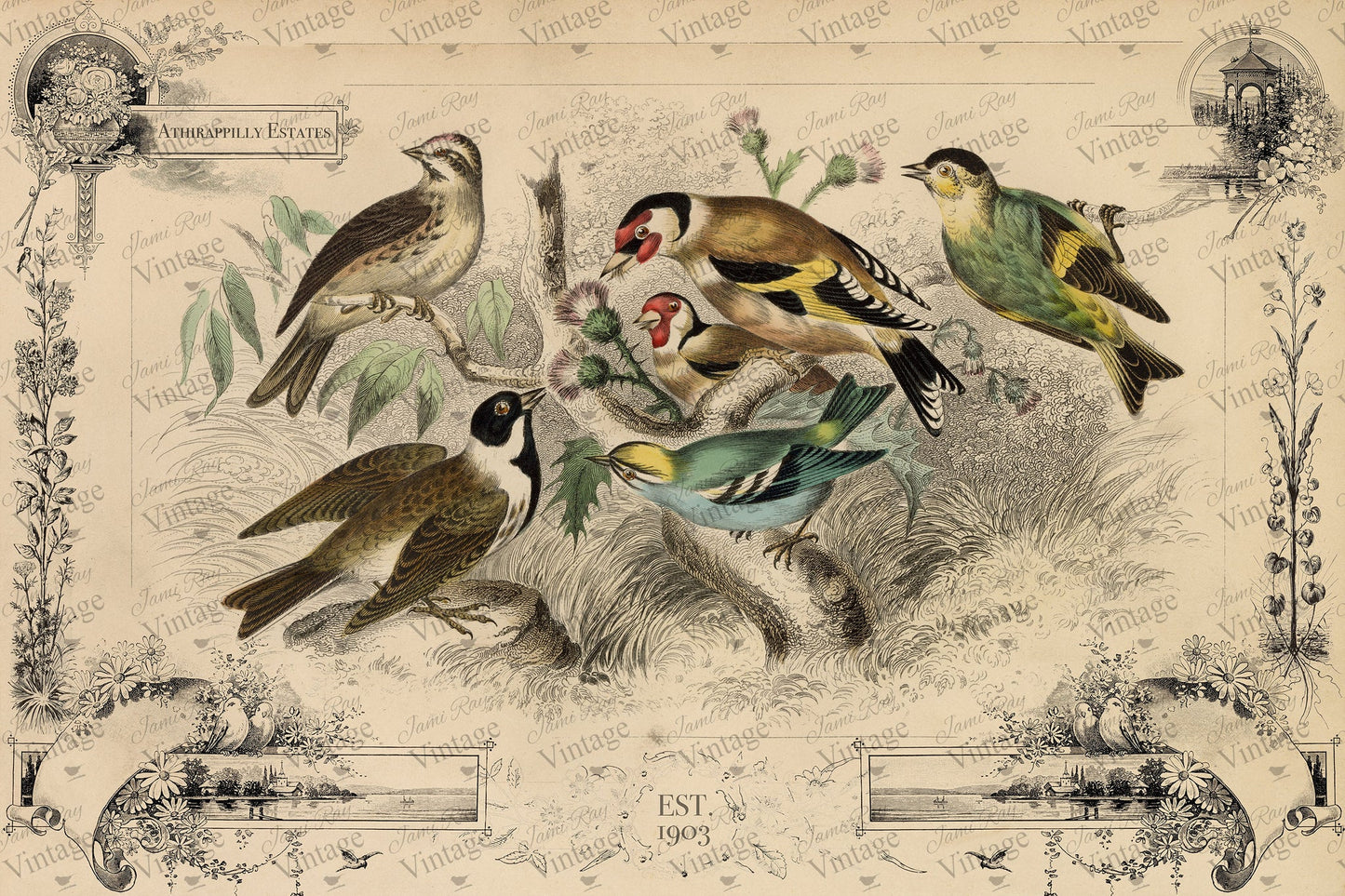 Cottage Birds | JRV Decoupage Paper 30x20 inch