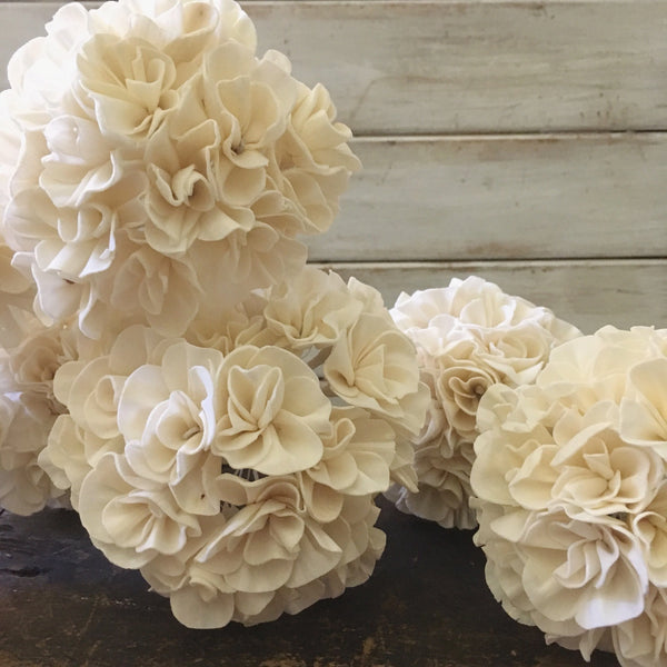Hydrangea - Sola Flowers