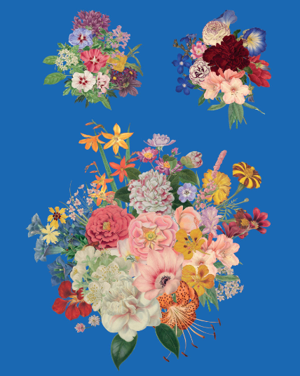 Floribunda - Annie Sloan Decoupage Paper