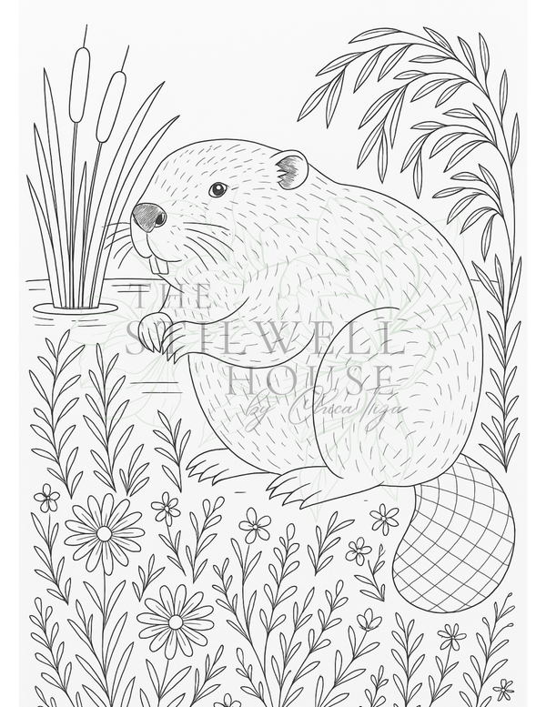 Woods and Whisper Collection - Stilwell Scenes