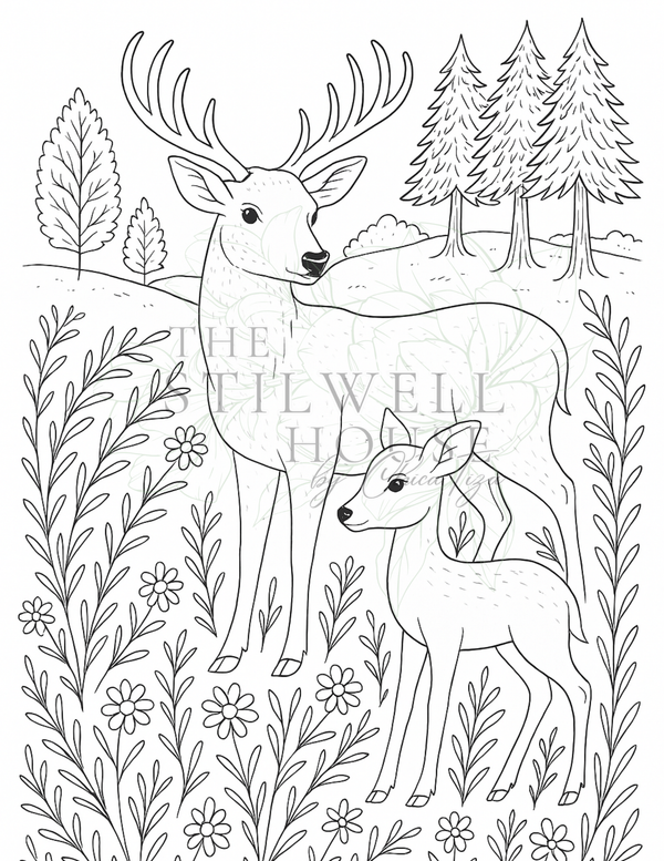 Woods and Whisper Collection - Stilwell Scenes