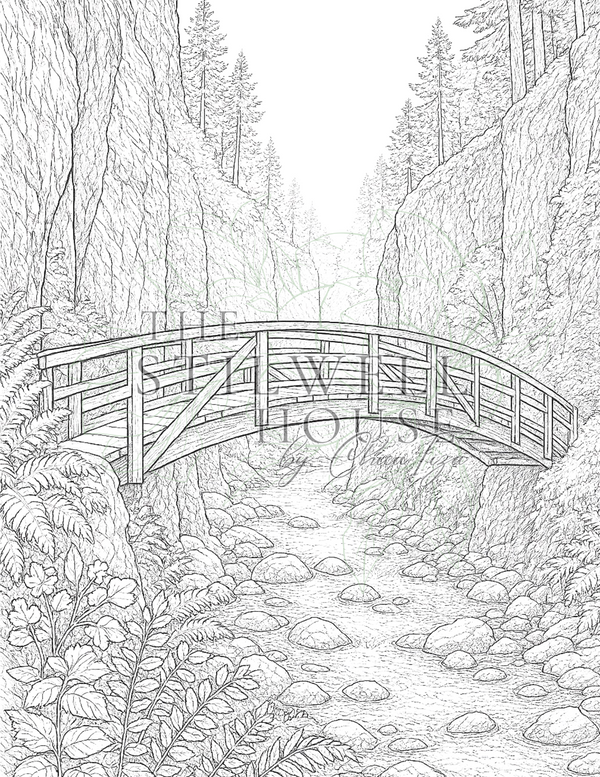 The Columbia River Gorge Collection - Stilwell Scenes