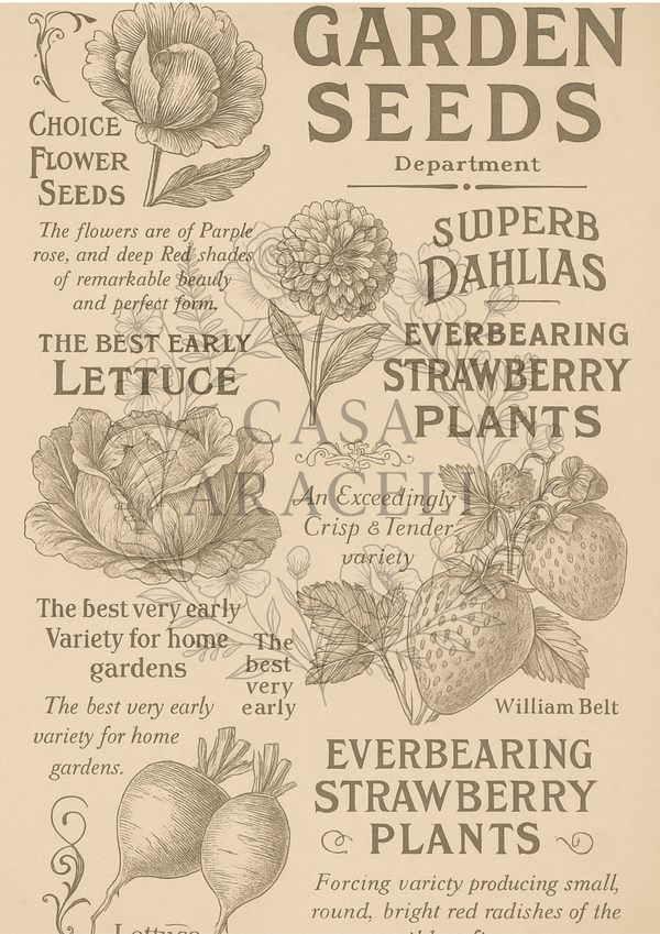 Ephemera & Ink – Casa Araceli Essentials Collection Decoupage A4 (6 sheets)