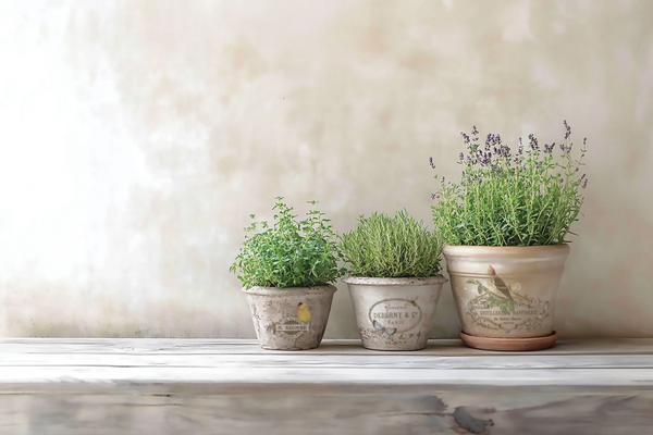 By Any Other Name - 8x 12 transfer Pad - by Iron Orchid Designs