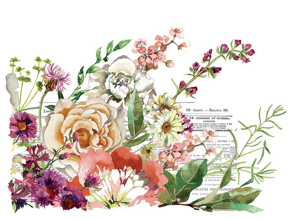 Elysium IOD Transfer 12x16 Pad™