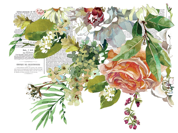 Elysium IOD Transfer 12x16 Pad™