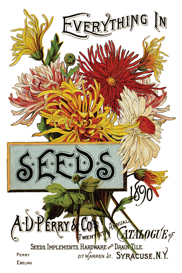 Seed Catalogue IOD Transfer 8x12 Pad™