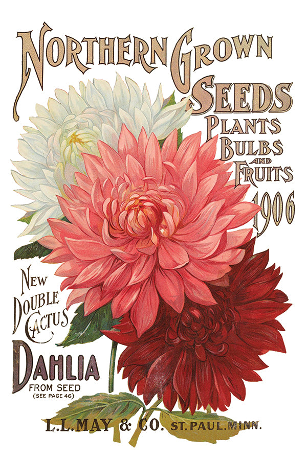 Seed Catalogue IOD Transfer 8x12 Pad™