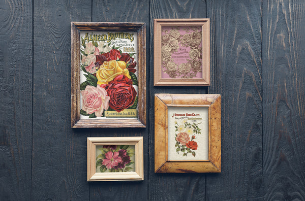 Seed Catalogue IOD Transfer 8x12 Pad™