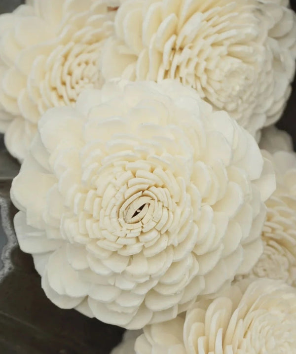 Marigold - 2.5 inches Sola Flowers