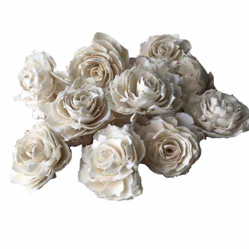 Sophia Sola Flowers - set of 12 - 2.5 inches