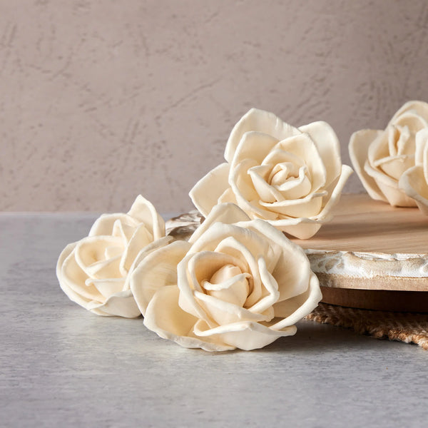 Thelma Roses Sola Flowers - 2.5 inches