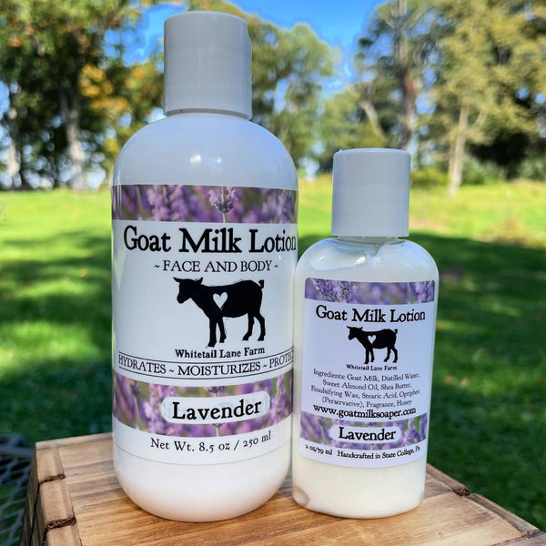 Lavender - Goat Milk Lotion Lavender: 8.5oz