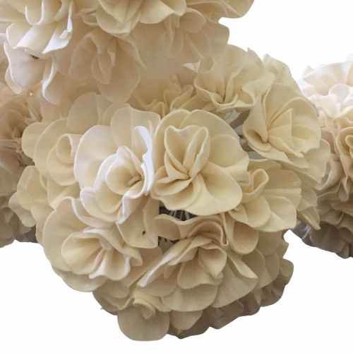 Hydrangea - Sola Flowers