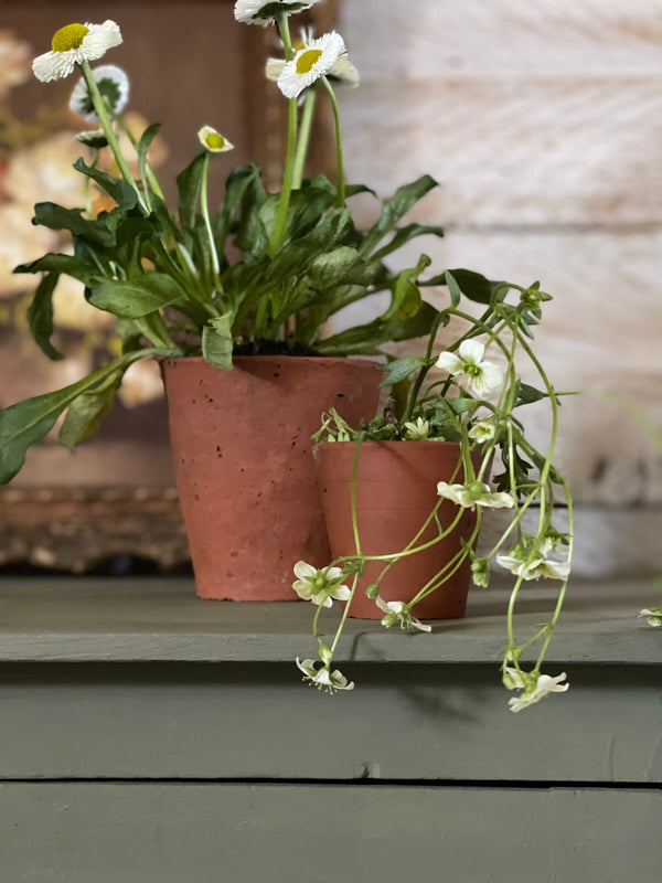 Olive- Annie Sloan Chalk Paint®