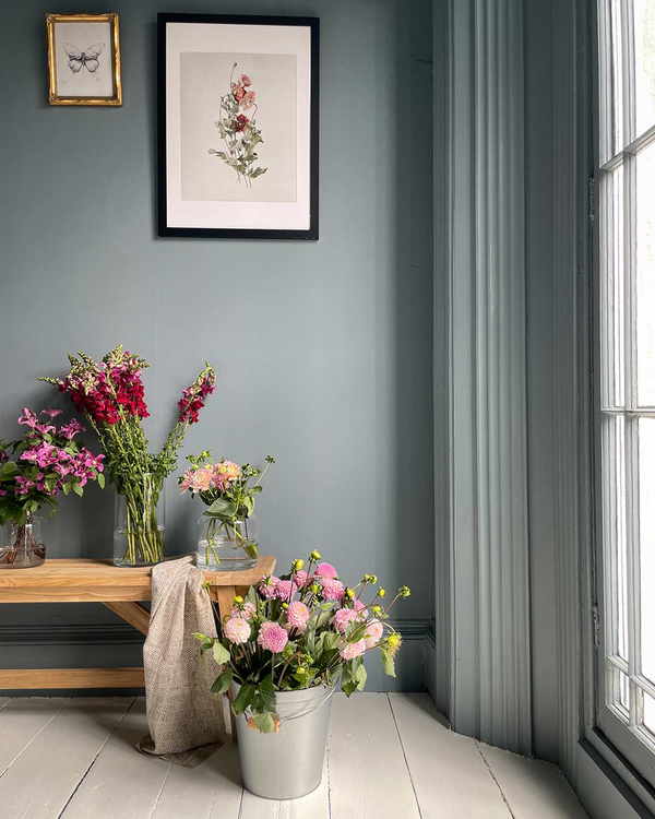 Cambrian Blue - Annie Sloan Wall Paint