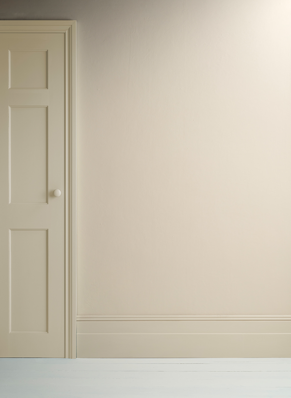 Canvas  - Annie Sloan  Satin Paint®