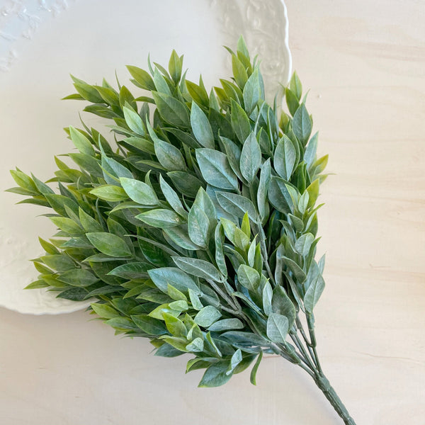 Large Ruscus Stem Artificial Greenery - 14 inches