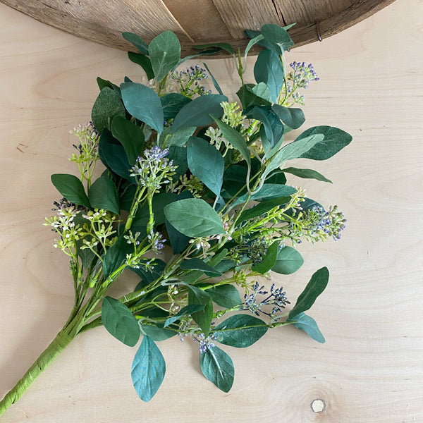 Summer Eucalyptus, Seeded