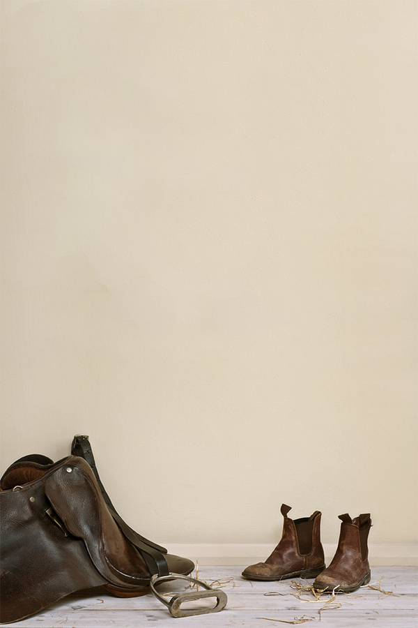 Original - Annie Sloan Wall Paint