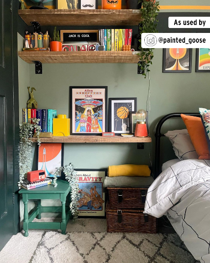 Amsterdam Green- Annie Sloan Chalk Paint®