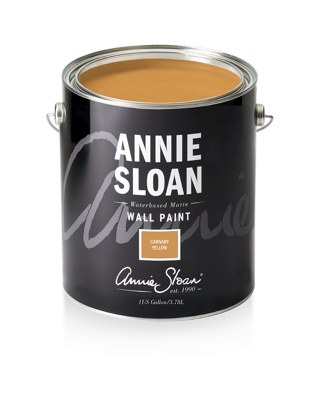 Carnaby Yellow - Annie Sloan Wall Paint
