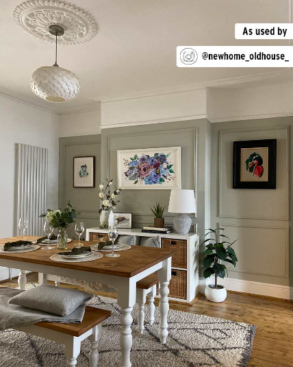 Cotswold Green - Annie Sloan Wall Paint