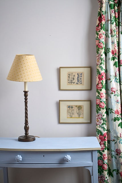 Adelphi - Annie Sloan Wall Paint