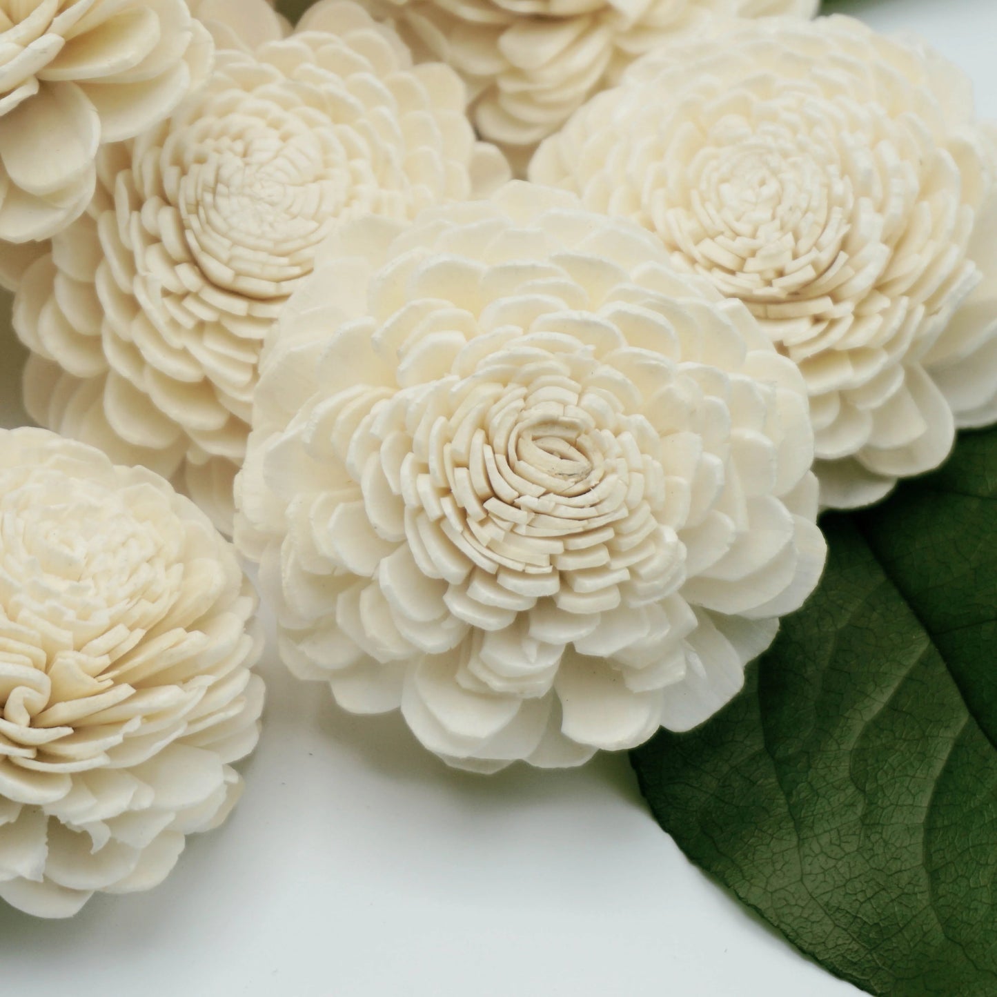 Marigold - 2.5 inches Sola Flowers