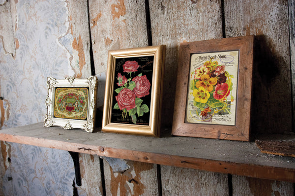 IOD Ephemeral Melange IOD Transfer 8x12 Pad™