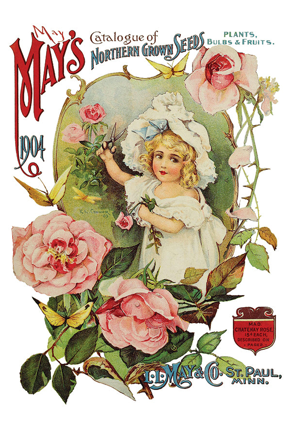 IOD Ephemeral Melange IOD Transfer 8x12 Pad™