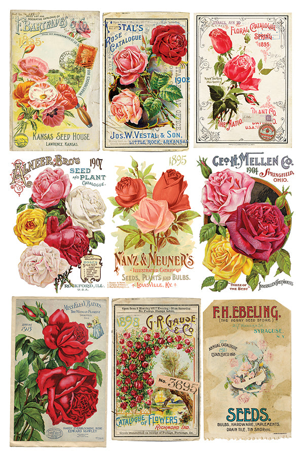 IOD Ephemeral Melange IOD Transfer 8x12 Pad™