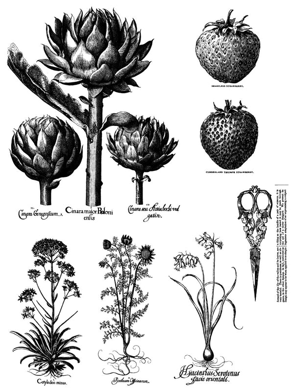 IOD Melange IOD Paint Inlay 12x16 Pad™