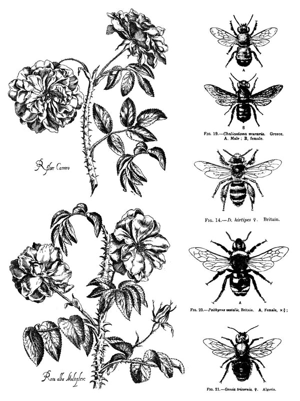 IOD Melange IOD Paint Inlay 12x16 Pad™