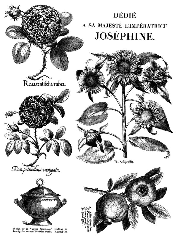 IOD Melange IOD Paint Inlay 12x16 Pad™