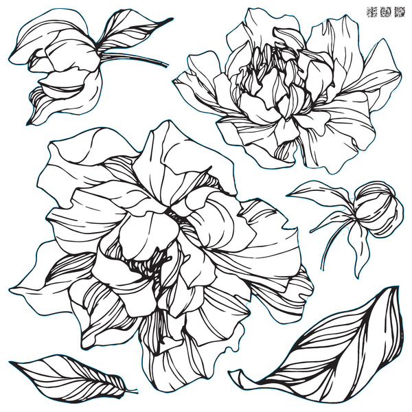IOD Peonies 12×12 IOD Stamp™