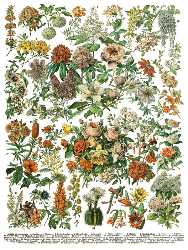 IOD Millot's Pages IOD Transfer 12x16 Pad™