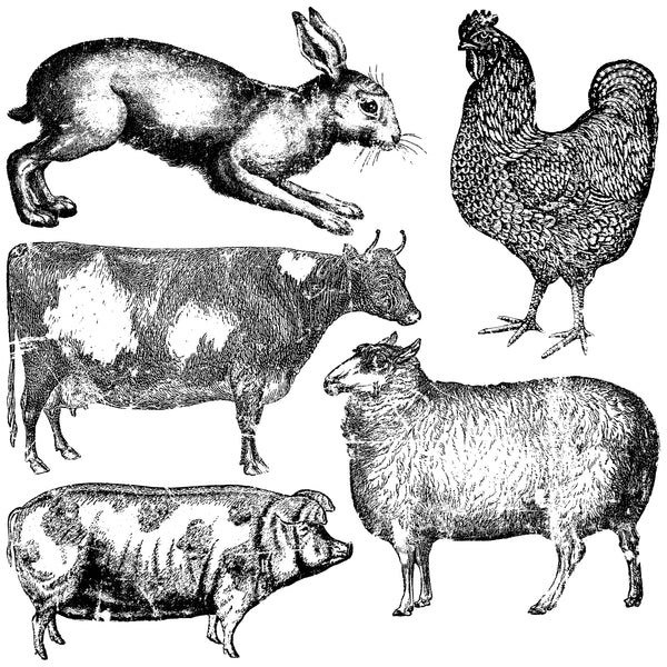 IOD Farm Animals 12x12 Decor Stamp™