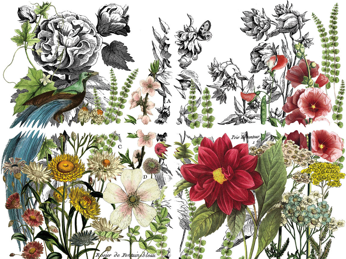 IOD Midnight Garden IOD Transfer 12x16 Pad™