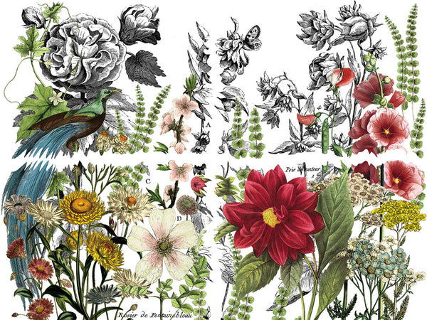 IOD Midnight Garden IOD Transfer 12x16 Pad™