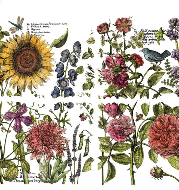 IOD Botanist's Journal IOD Transfer 12x16 Pad™