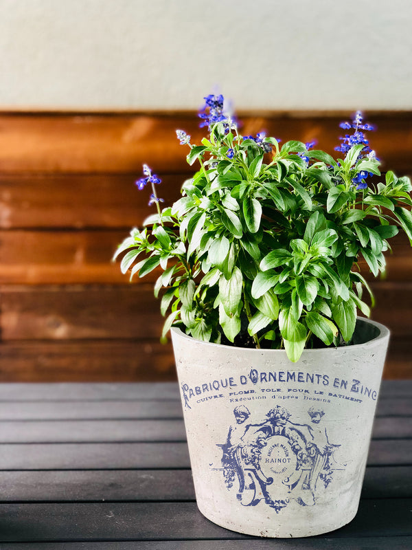 IOD Traditional Pots IOD Transfer 12x16 Pad™