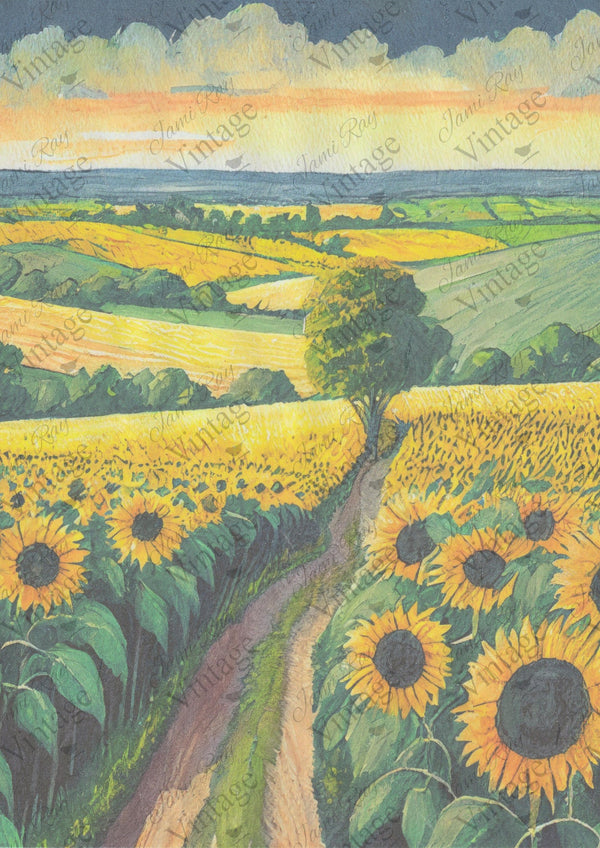 Sunflowe fields | JRV Rice Paper A4