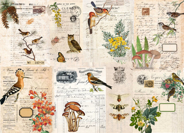 Fall Botanical Blocks Decoupage Paper - Roycycled Treasures (Copy)