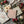 LATTICE ROSE IOD PAINT INLAY 12X16 PAD™