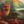 Foxfire Grove by Casa Araceli