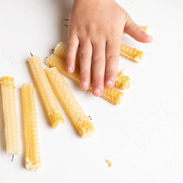 eco-kids / elseware unplug - Beeswax candle kit